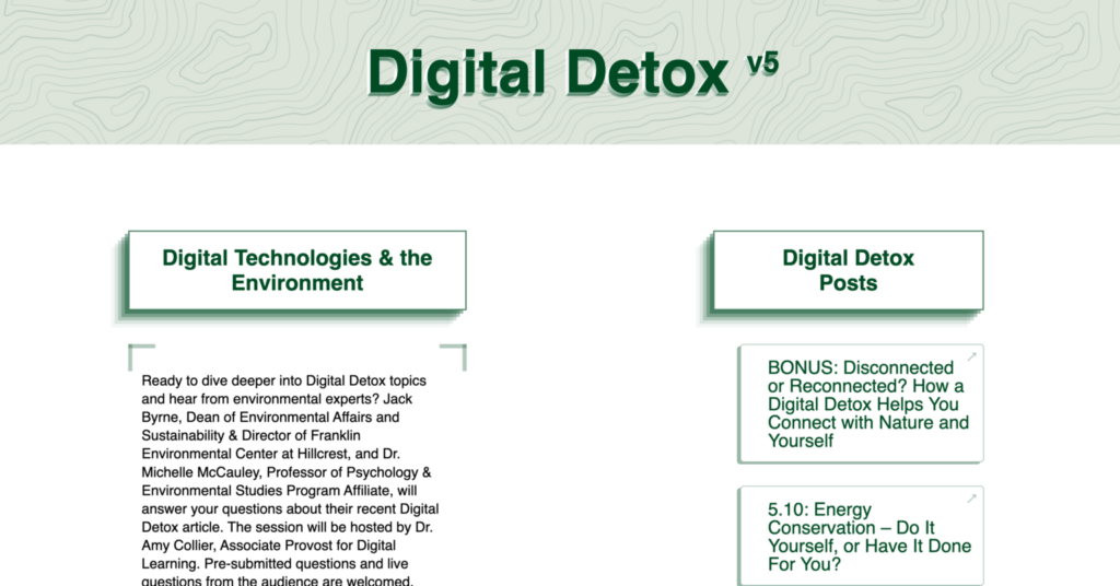 A screenshot of the Digital Detox site that was focused on energy usage.